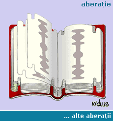 aberatie grafica - un roman greu de citit
