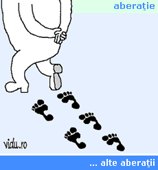 aberatie grafica - urme suspecte aberatie grafica - urme suspecte