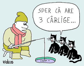 concurs de umor cu caricaturi - mancare pentru pisici