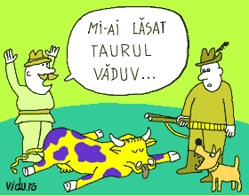concurs de umor cu caricaturi - vanarea animalelor domestice