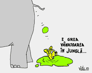 caricatura - safari in africa