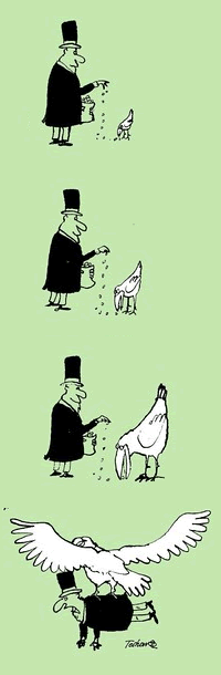 caricatura de toso borkovic