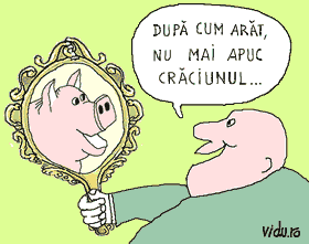 concurs de umor cu caricaturi - oglinda oglinjoara