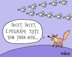 concurs de umor cu caricaturi - transportul carnii de pasare