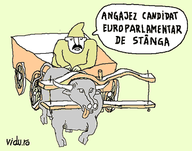 candidati pentru parlamentul europei